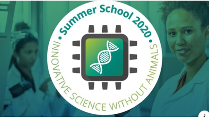 summerschoolpcrm