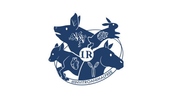 logo_OSAsurvey_visioneglobale