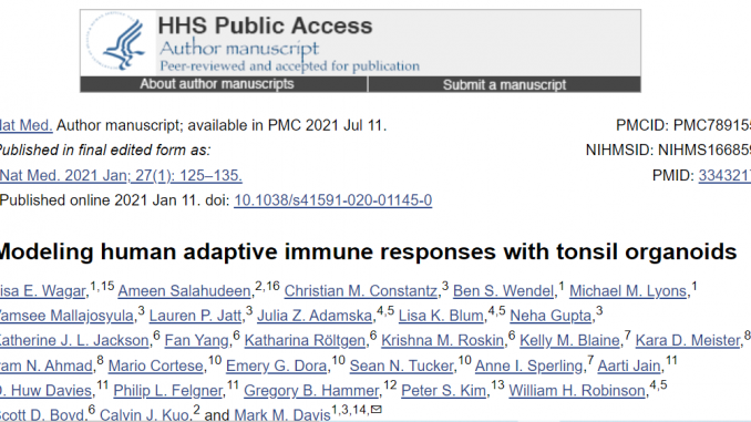 modeling human adaptive immunity with tonsil organoids