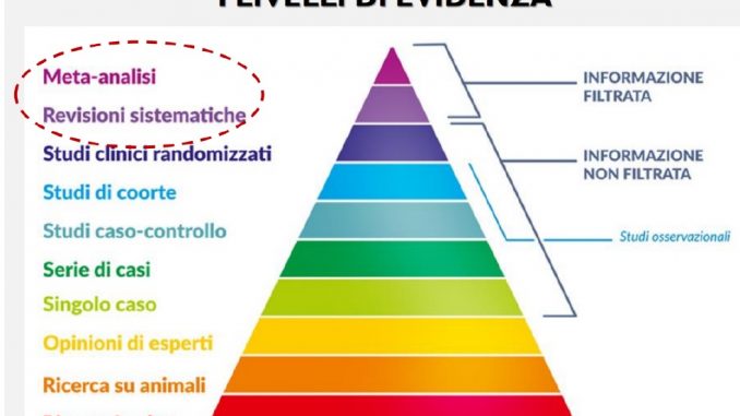 revisioni_modelli_animali
