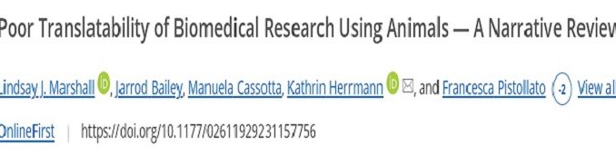 translatability paper