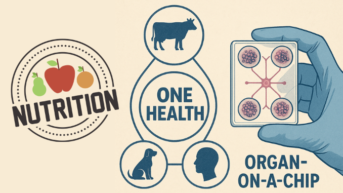 Nutrition_OneHealth_678x381