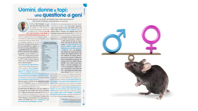 Uomini-Donne-Topi_678x381